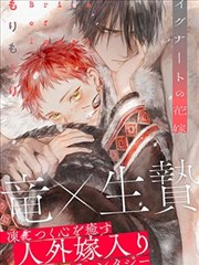 铁窗与信笺长篇封面